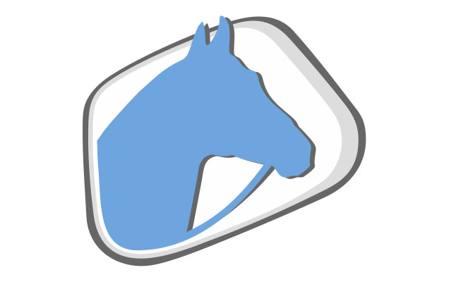 WellAnalyse ® HORSE